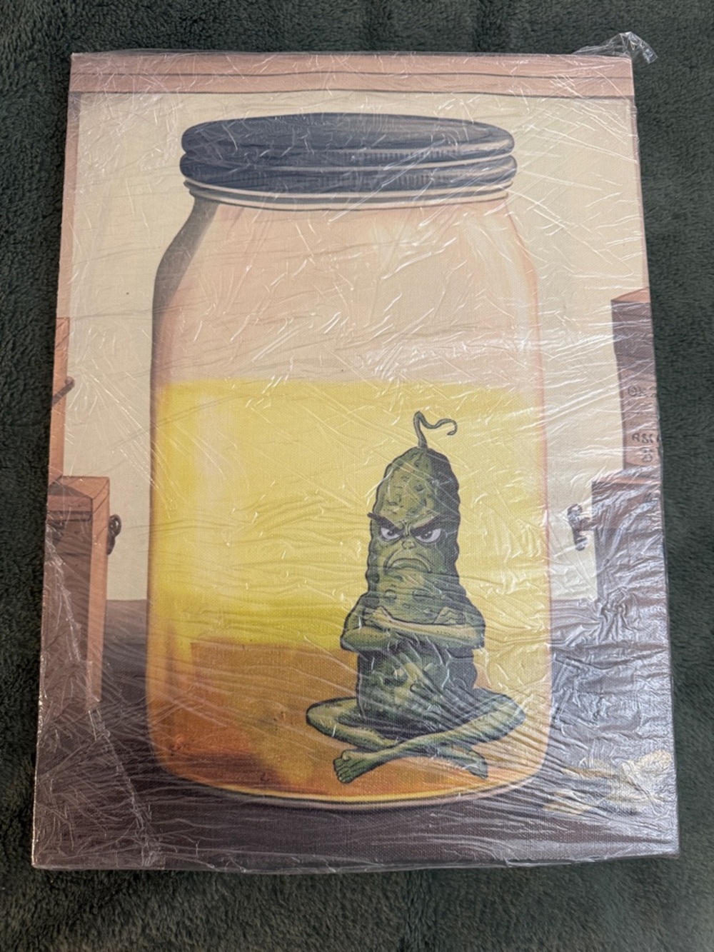 NWT Green Pickle Character Art Print in Jar